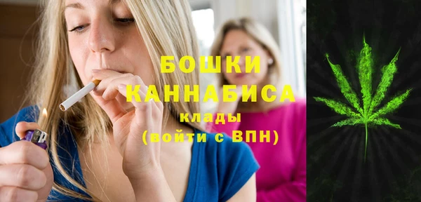 сатива Баксан