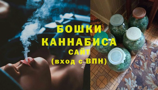 сатива Баксан