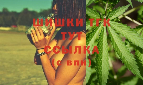 сатива Баксан