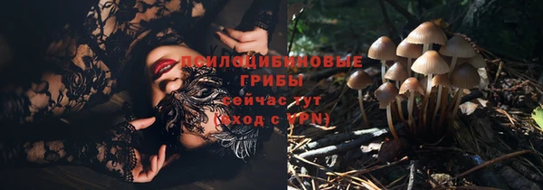 сатива Баксан
